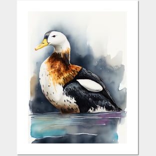 Arctic King Eider - Watercolor Paint Posters and Art